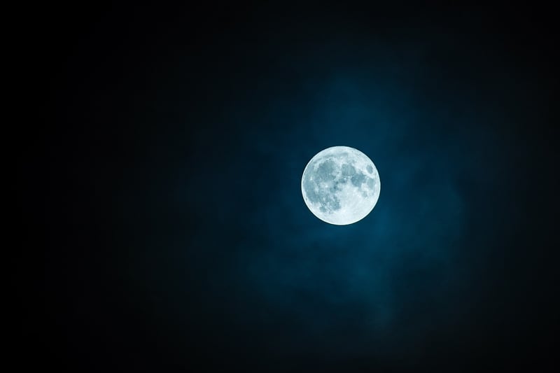 Moonlit Terrace